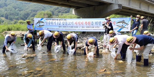 한국타이어가 6월 5일 오후 대전 유등천 상류 수련교에서 멸종위기종 1급이자 대전시 깃대종인 ‘감돌고기’ 방류 행사를 진행했다. 사진=한국타이어 제공