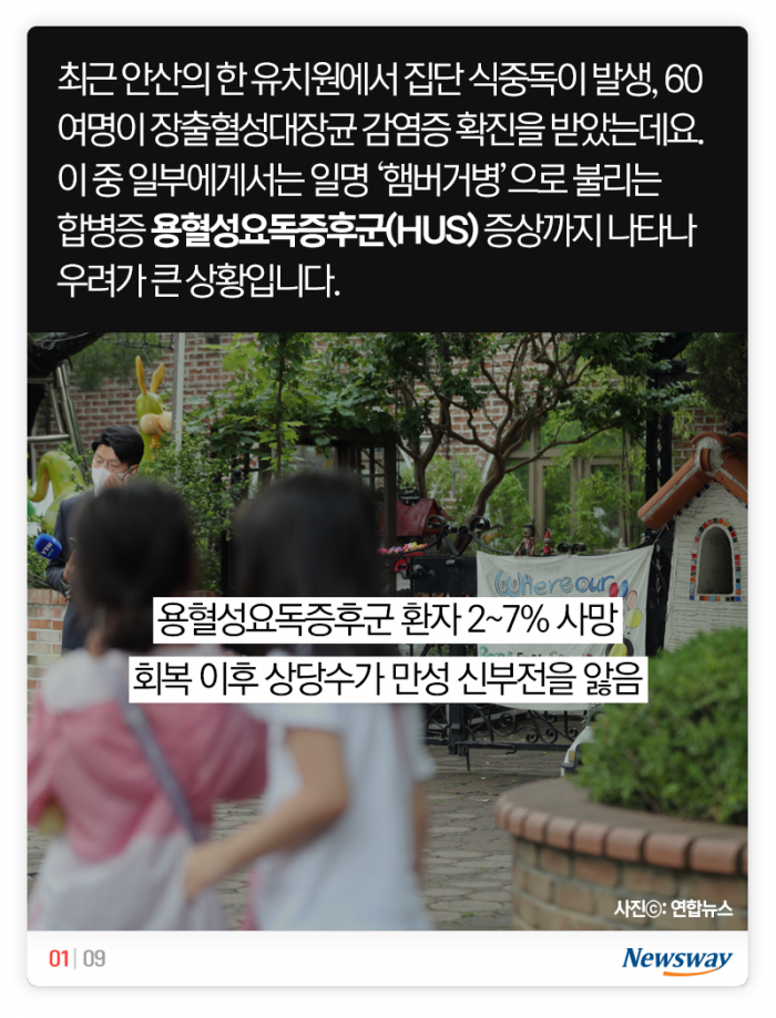 유치원생 용혈성요독증후군···햄버거 안 먹었는데 왜? 기사의 사진