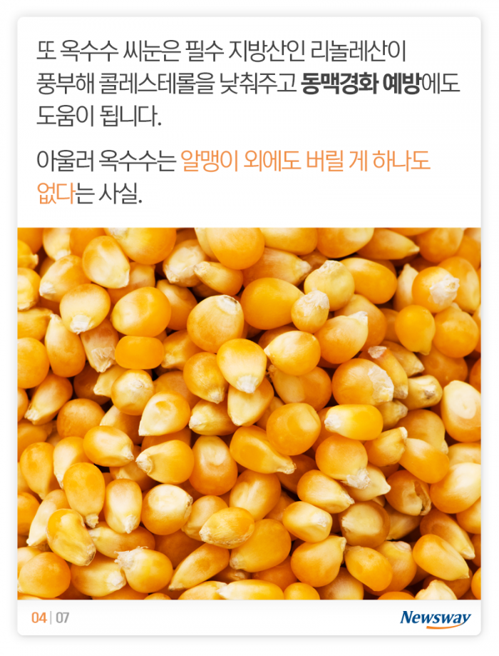 여름철 최고의 간식이 ‘옥수수’인 이유 기사의 사진