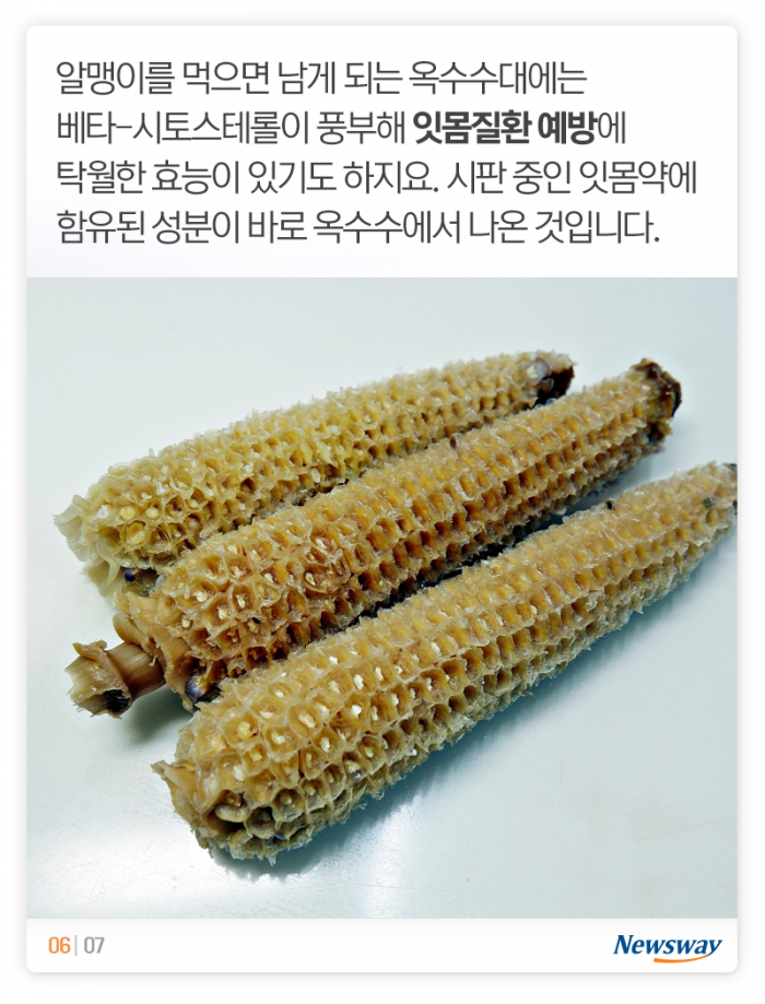 여름철 최고의 간식이 ‘옥수수’인 이유 기사의 사진