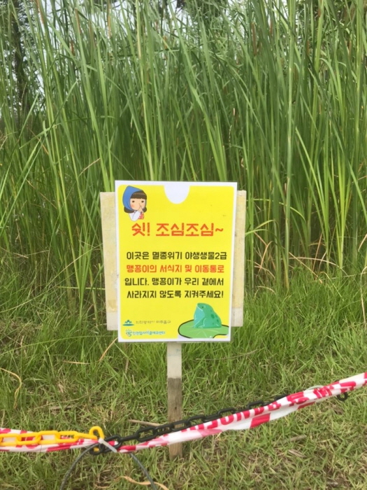 에코센터 생태습지