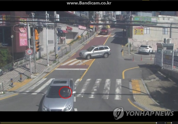 부산 해운대 스쿨존 사고 운전자 2명 ‘민식이법’ 적용. 사진=부산경찰청 제공 CCTV 영상 캡처/연합뉴스