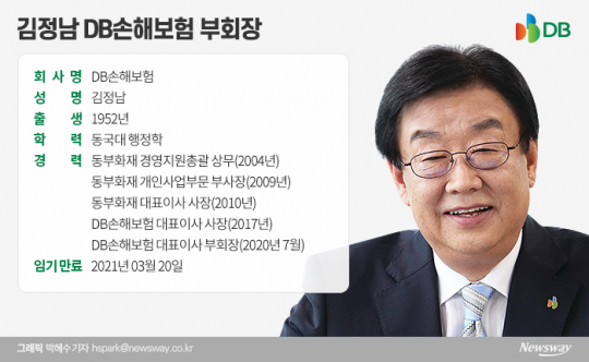 김정남 DB손해보험 부회장. 그래픽=박혜수 기자