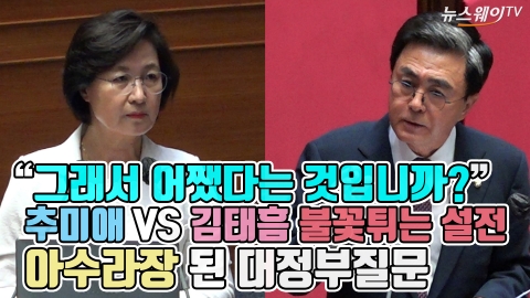 “그래서 어쨌다는 것입니까” 추미애vs김태흠 불꽃튀는 설전