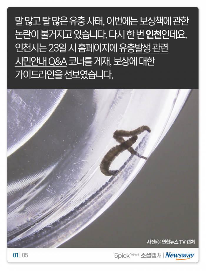 인천시, 이번엔 유충 보상 가이드라인 논란 ‘숨은 벌레 찾기?’ 기사의 사진