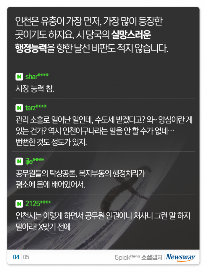 인천시, 이번엔 유충 보상 가이드라인 논란 ‘숨은 벌레 찾기?’ 기사의 사진