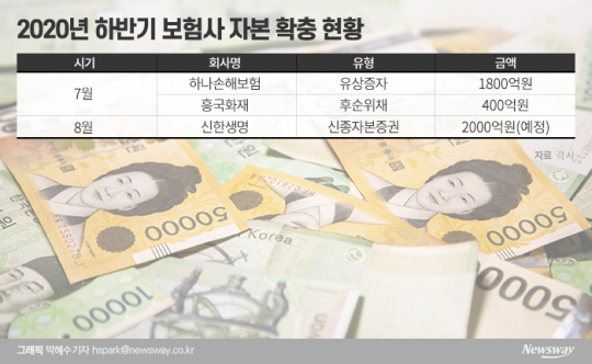 2020년 하반기 보험사 자본 확충 현황. 그래픽=박혜수 기자