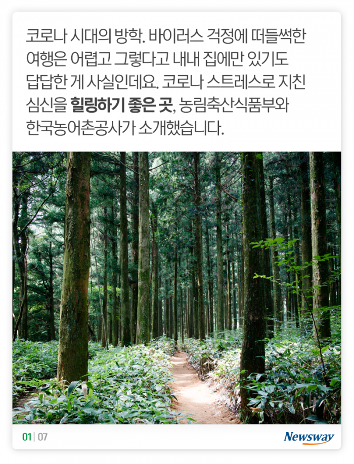 ‘방학인데 어디가?’ 힐링하기 좋은 여행지 6선 기사의 사진