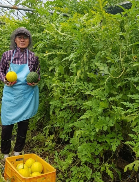 장흥 이상환 씨, 커플 애플수박으로 인생2막 성공 ‘화제’