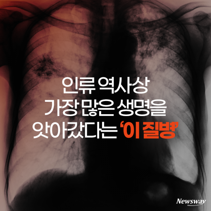 인류 역사상 가장 많은 생명을 앗아갔다는 ‘이 질병’ 기사의 사진