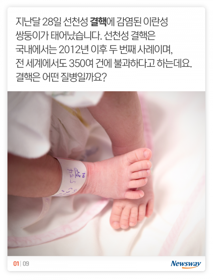 인류 역사상 가장 많은 생명을 앗아갔다는 ‘이 질병’ 기사의 사진