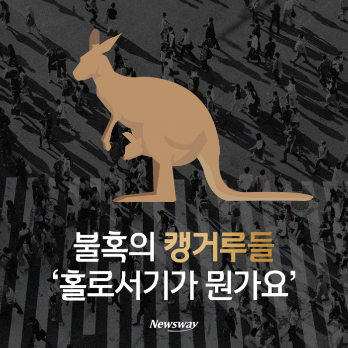 불혹의 캥거루들 ‘홀로서기 어렵네’ 기사의 사진