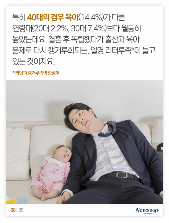 불혹의 캥거루들 ‘홀로서기 어렵네’ 기사의 사진