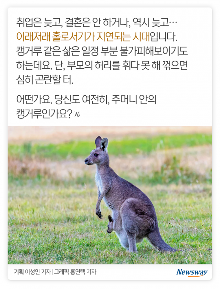 불혹의 캥거루들 ‘홀로서기 어렵네’ 기사의 사진