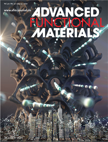 Advanced Functional Materials 표지