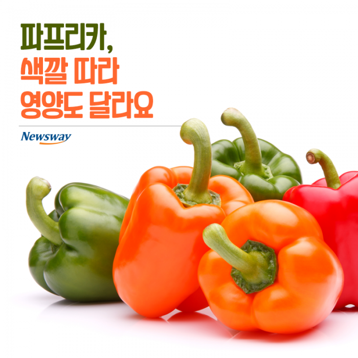 파프리카, 색깔 따라 영양도 달라요 기사의 사진