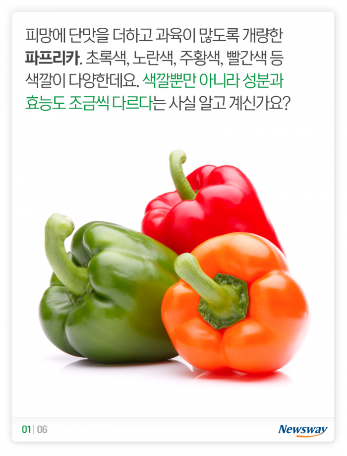 파프리카, 색깔 따라 영양도 달라요 기사의 사진