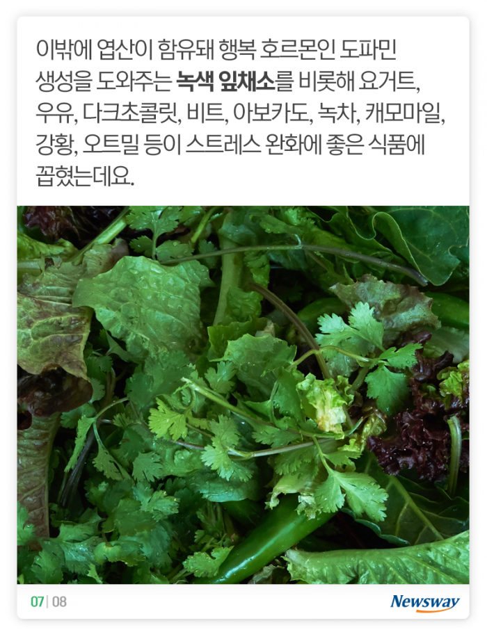 “뉴스 보면 스트레스가 확···” 요즘 시국에 ‘딱’이라는 이 음식들 기사의 사진
