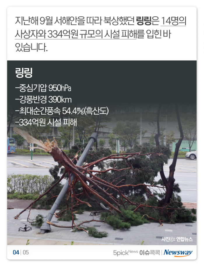 태풍 바비가 위험한 이유 기사의 사진