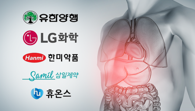 30조 新시장 지방간염 치료제...유한·한미·삼일 각축전 기사의 사진