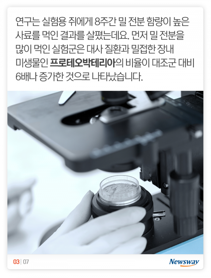 마른 비만 당신, 혹시 ‘이것’ 좋아하나요? 기사의 사진