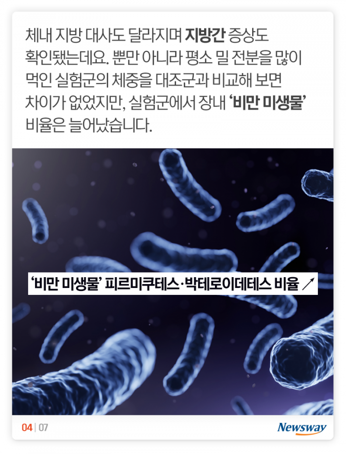마른 비만 당신, 혹시 ‘이것’ 좋아하나요? 기사의 사진