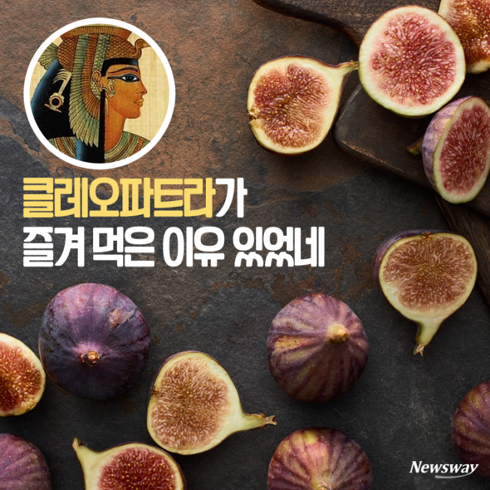 클레오파트라가 즐겨 먹은 이유 있었네 기사의 사진