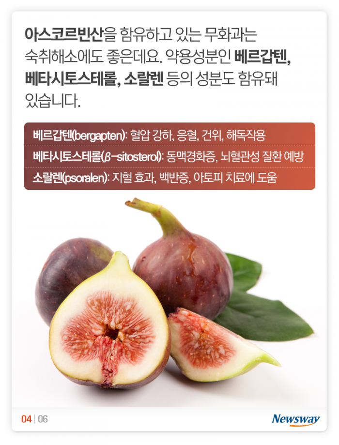 클레오파트라가 즐겨 먹은 이유 있었네 기사의 사진