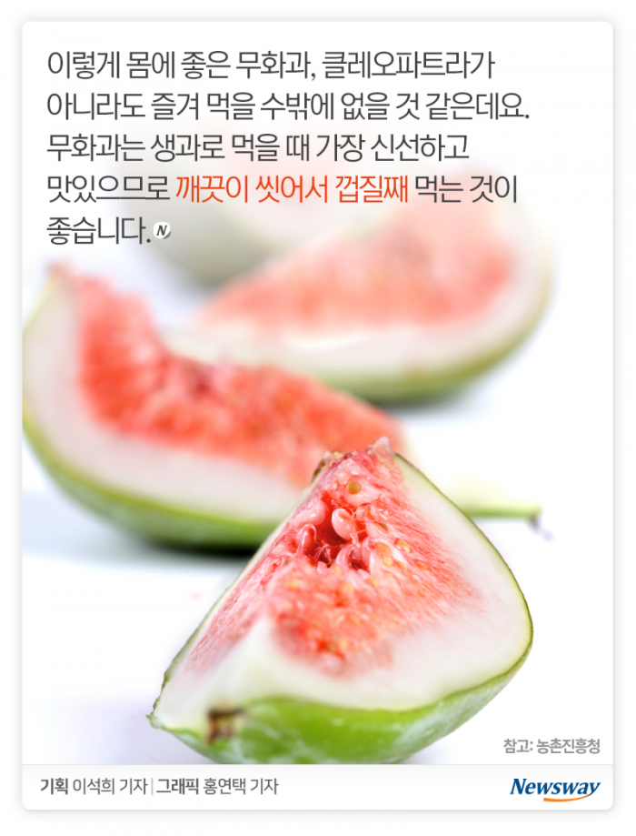 클레오파트라가 즐겨 먹은 이유 있었네 기사의 사진