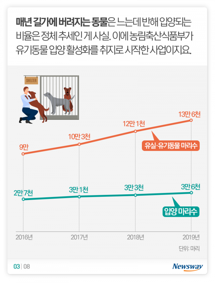버려진 개·고양이를 들인 당신이 알아야 할 것 기사의 사진