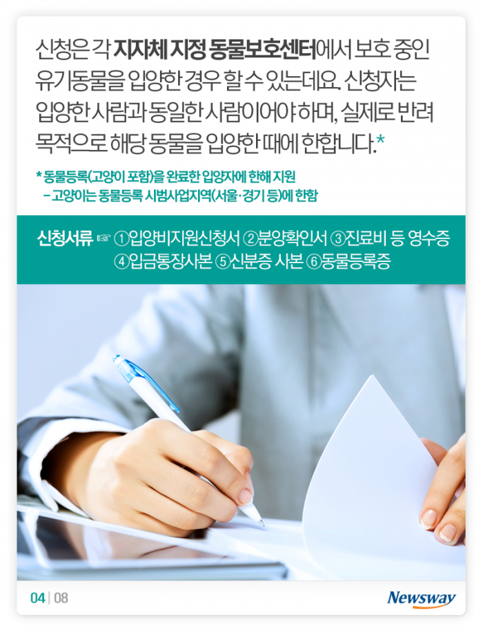 버려진 개·고양이를 들인 당신이 알아야 할 것 기사의 사진
