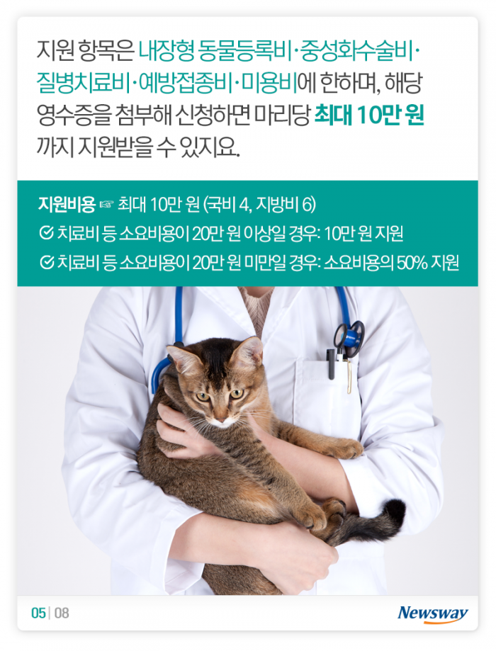 버려진 개·고양이를 들인 당신이 알아야 할 것 기사의 사진