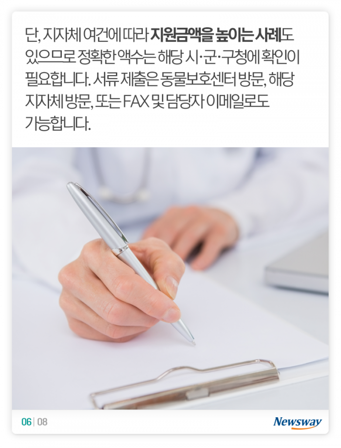버려진 개·고양이를 들인 당신이 알아야 할 것 기사의 사진