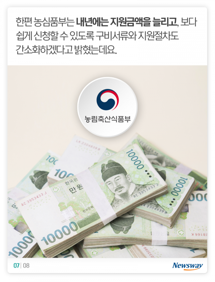 버려진 개·고양이를 들인 당신이 알아야 할 것 기사의 사진