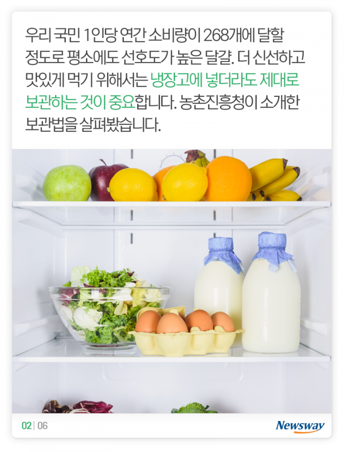 완전식품 ‘달걀’, 냉장고에 넣기만 하면 끝일까? 기사의 사진