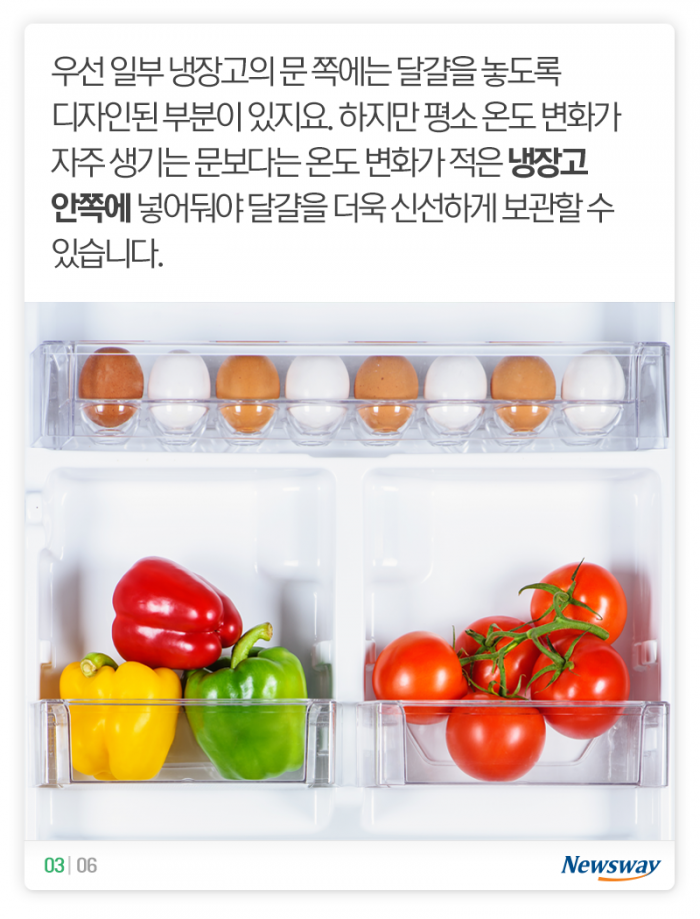 완전식품 ‘달걀’, 냉장고에 넣기만 하면 끝일까? 기사의 사진