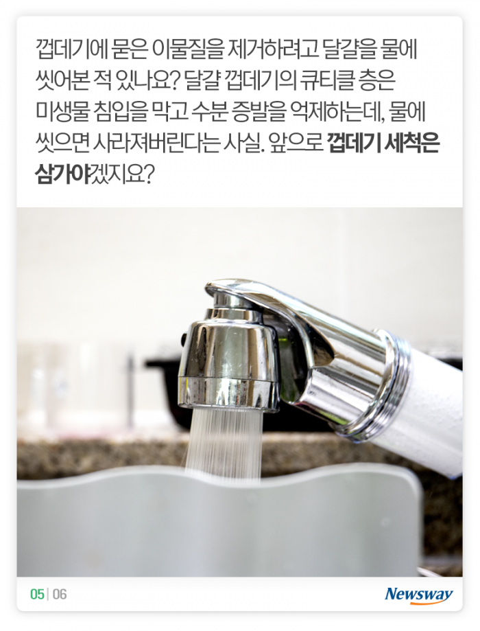 완전식품 ‘달걀’, 냉장고에 넣기만 하면 끝일까? 기사의 사진