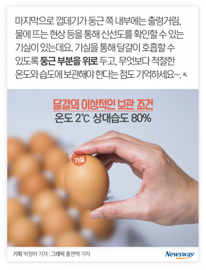 완전식품 ‘달걀’, 냉장고에 넣기만 하면 끝일까? 기사의 사진