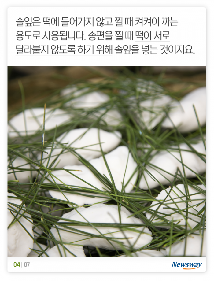 송편 찔 때 솔잎은 왜 넣지? 기사의 사진