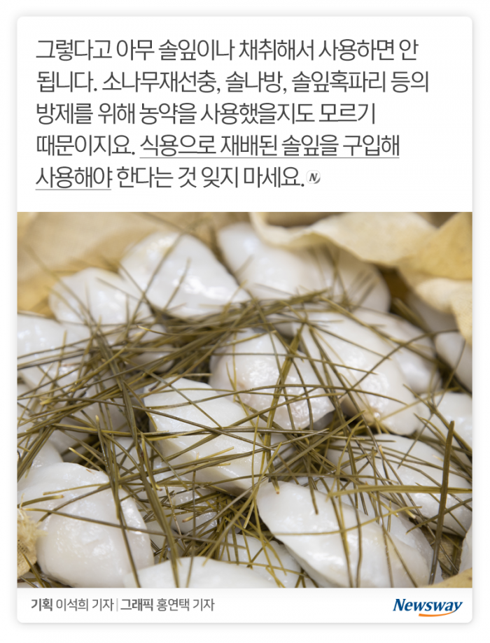송편 찔 때 솔잎은 왜 넣지? 기사의 사진