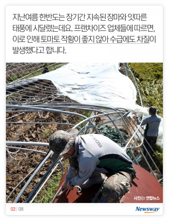 햄버거에 토마토가 없다니, 그게 무슨 소리요? 기사의 사진