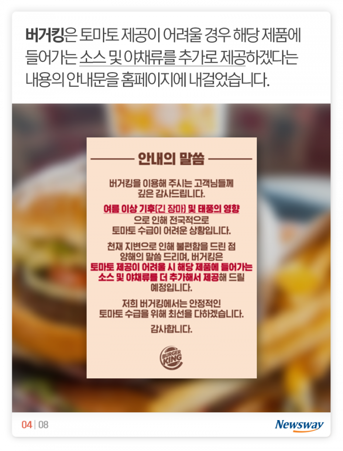 햄버거에 토마토가 없다니, 그게 무슨 소리요? 기사의 사진