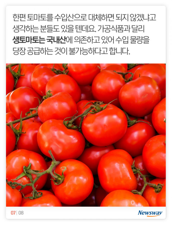 햄버거에 토마토가 없다니, 그게 무슨 소리요? 기사의 사진