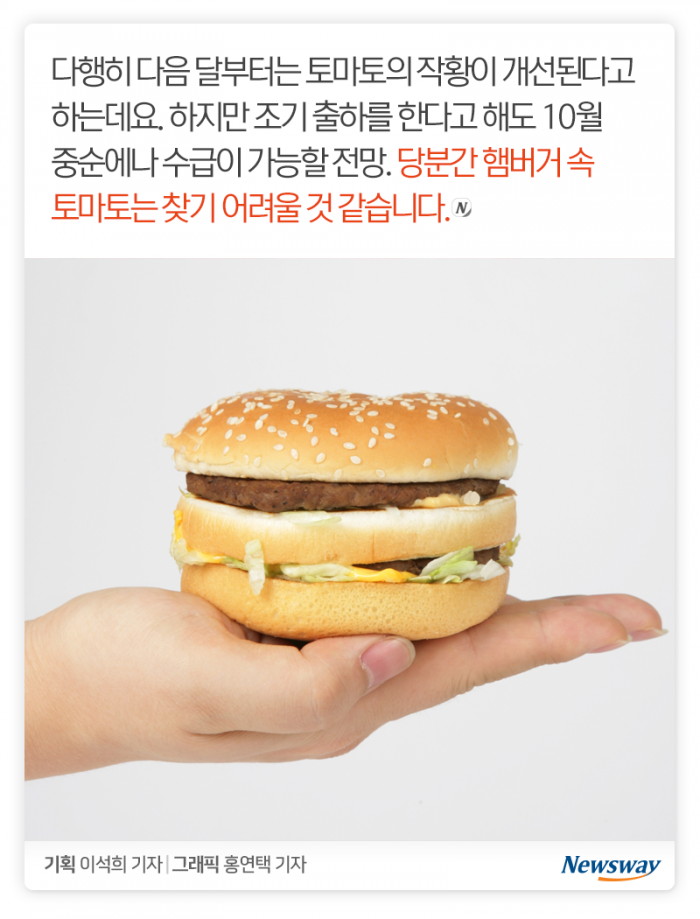 햄버거에 토마토가 없다니, 그게 무슨 소리요? 기사의 사진