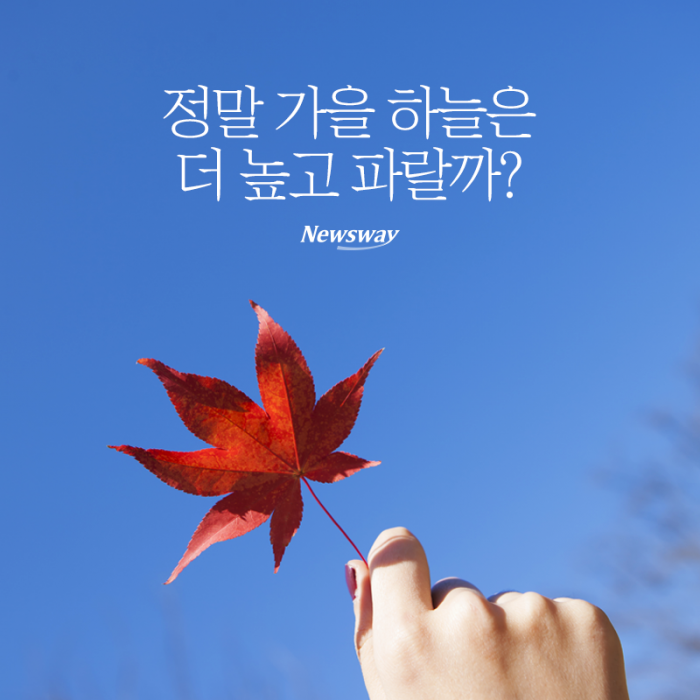 정말 가을 하늘은 더 높고 파랄까? 기사의 사진