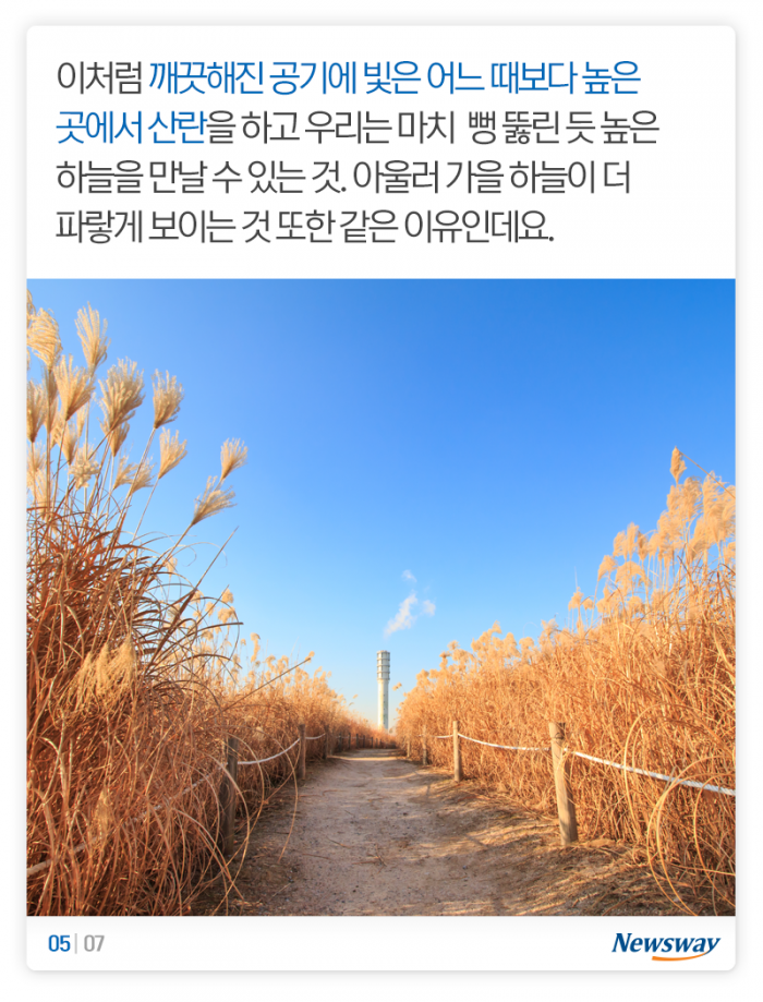 정말 가을 하늘은 더 높고 파랄까? 기사의 사진