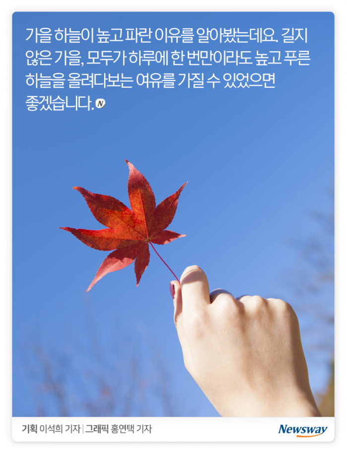 정말 가을 하늘은 더 높고 파랄까? 기사의 사진