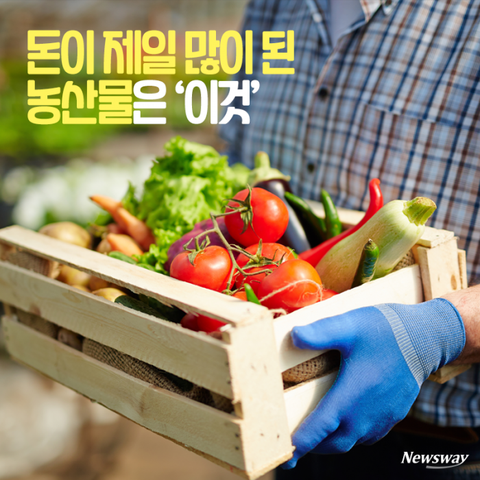 돈이 제일 많이 된 농산물은 ‘이것’ 기사의 사진