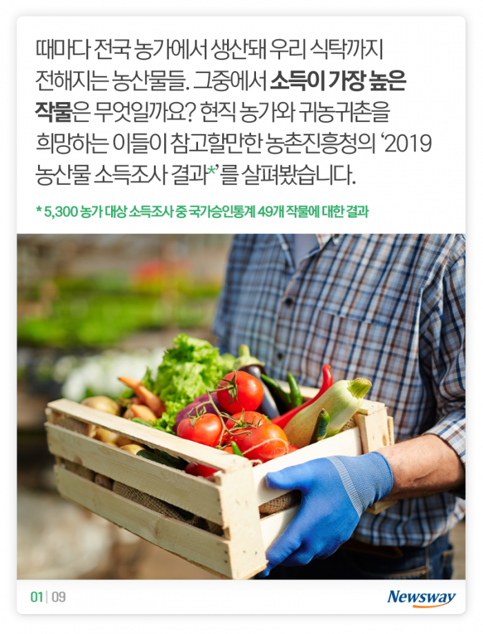 돈이 제일 많이 된 농산물은 ‘이것’ 기사의 사진
