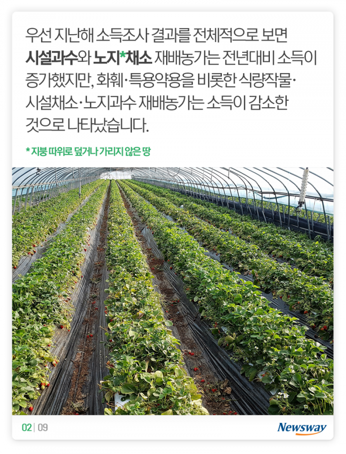 돈이 제일 많이 된 농산물은 ‘이것’ 기사의 사진